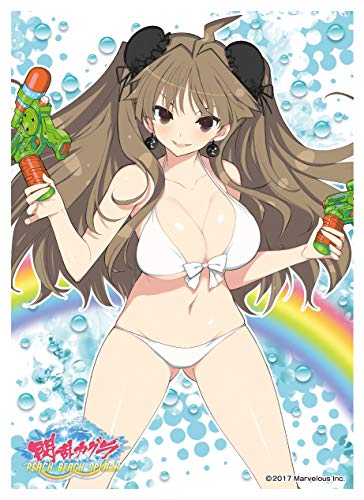 【未開封】閃乱カグラ PEACH BEACH SPLASH 詠 スリーブ Amazon.co.jp: キャラクタースリーブ 閃乱カグラ PEACH BEACH